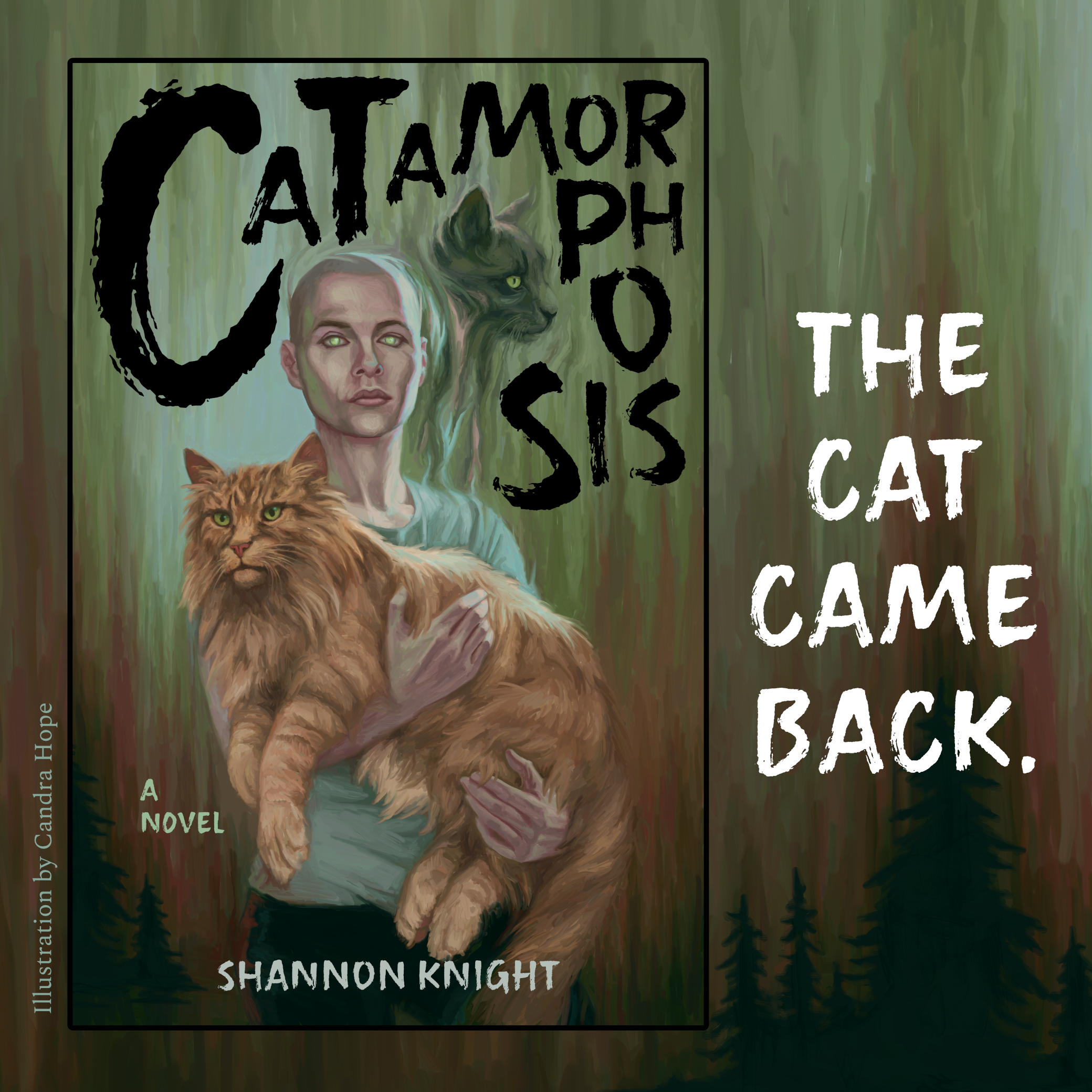 Book cover of Catamorphosis by Shannon Knight. Illustrated by Candra Hope. The Cat Came Back.